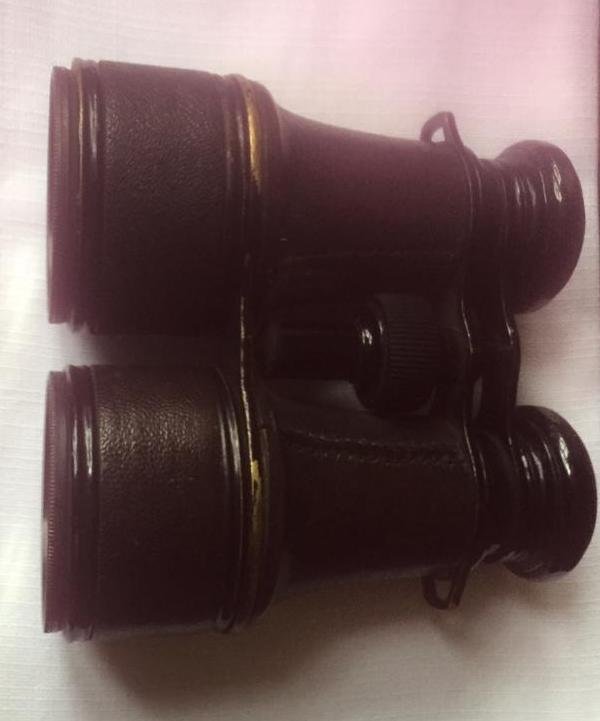 FERRY Rene jumelles 1