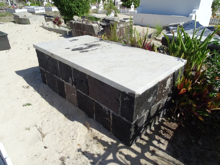 AYE Marie Henriette 2