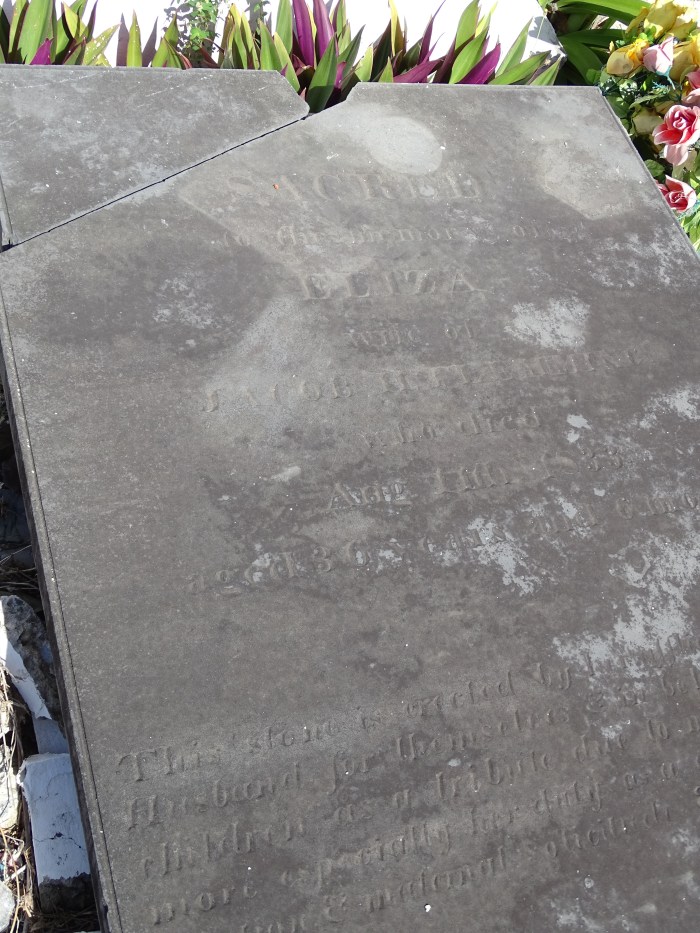 inconnue Eliza epouse de Jacob FLEMMING ??? DC 1833 agee de 36 ans