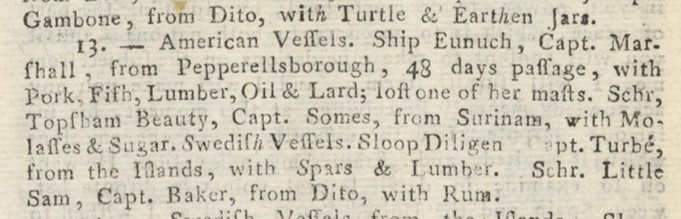 report 17 novembre 1804