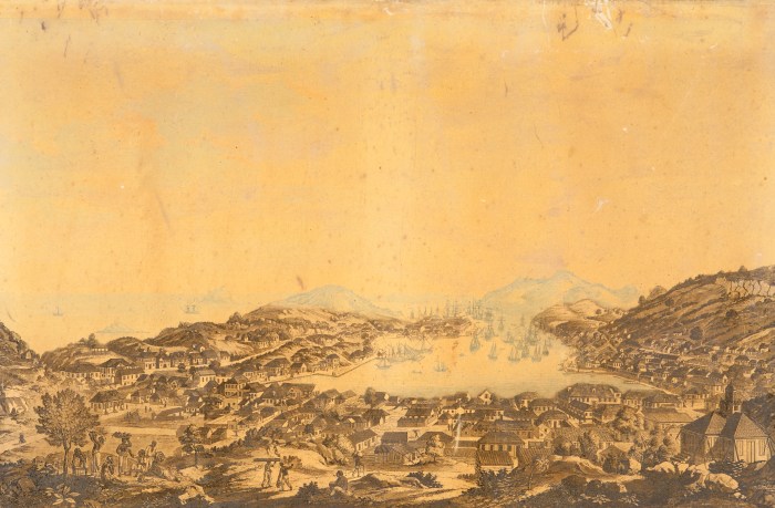 Médecine et pharmacie à Saint-Barthelemy à l&rsquo;époque&nbsp;Suédoise