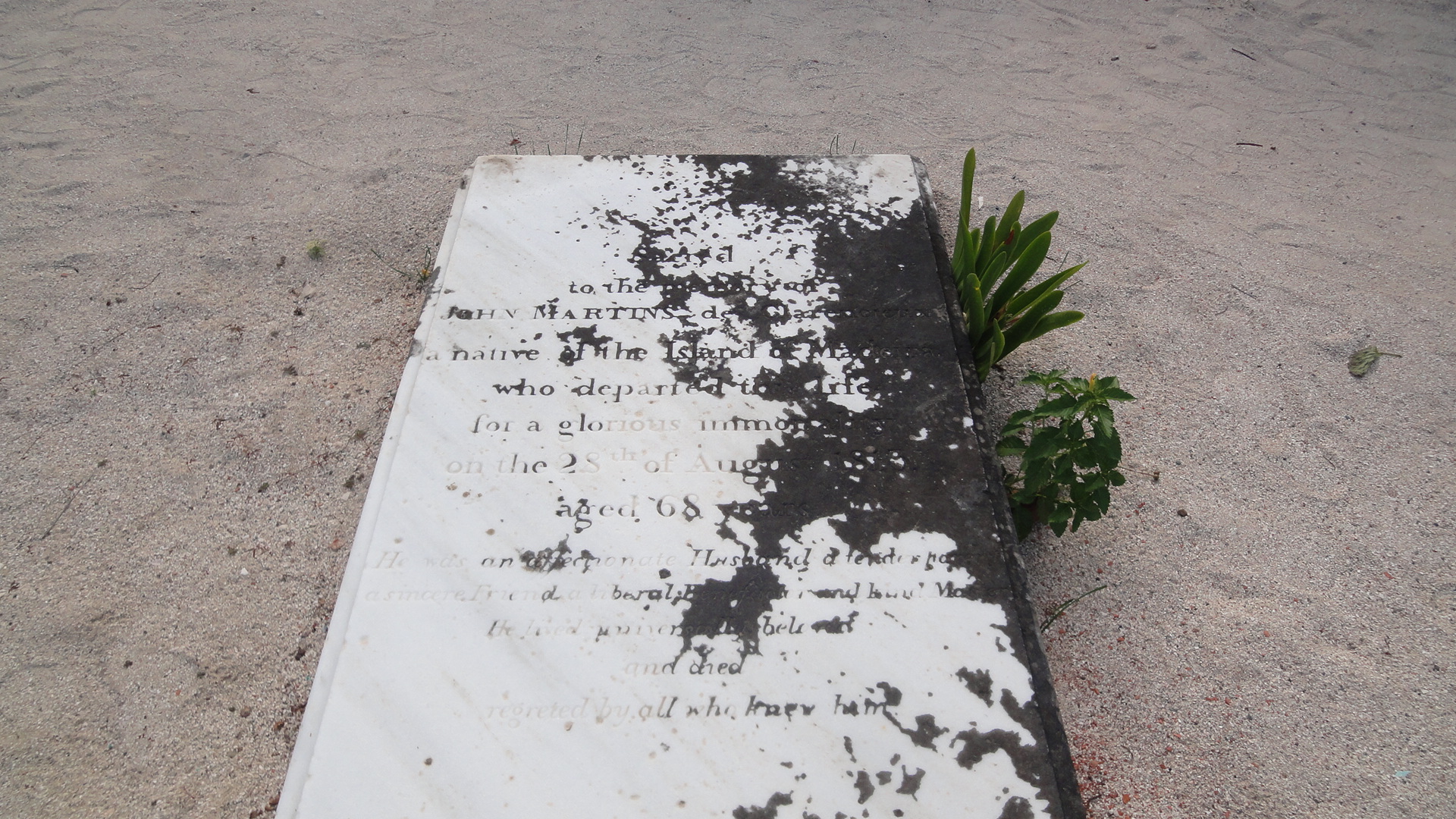 CLARENCIEUX TOMBE 2 - copie