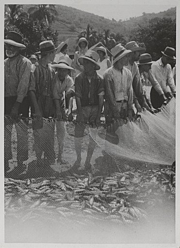 Les grands filets et le caillu,&nbsp;1843