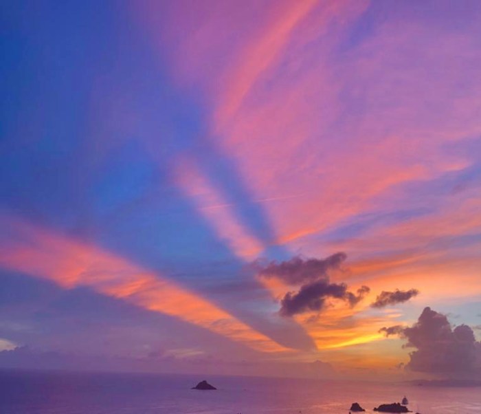 La bibliothèque d&rsquo;Adrianna HANSEN