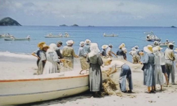 Un coup de seine à Saint-Jean,&nbsp;1865