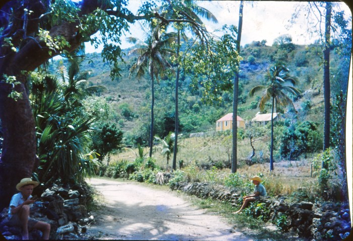 La boutique de Joseph&nbsp;QUESTEL