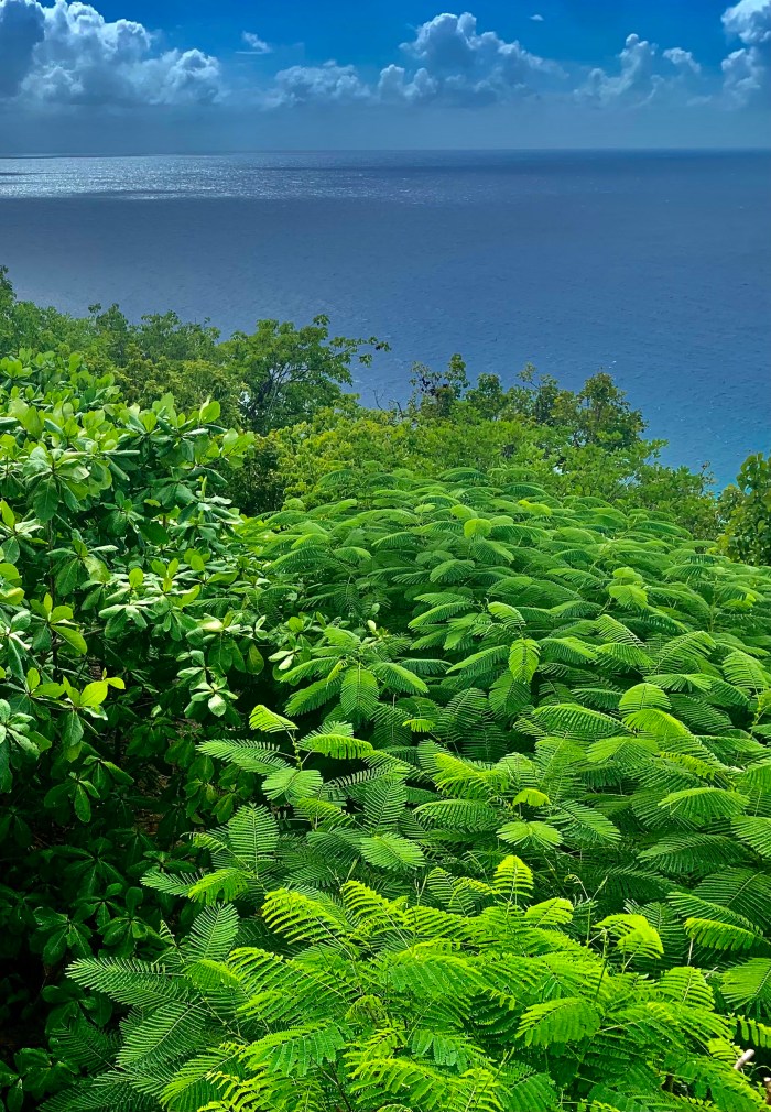 Les Félicité LAPLACE