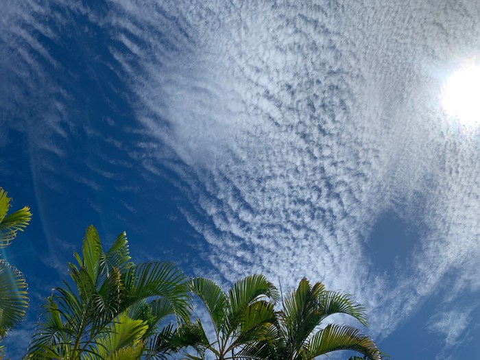 Thomas Cléophas AYE