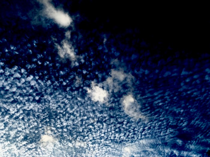 Les enfants de Charlotte&nbsp;WINFIELD