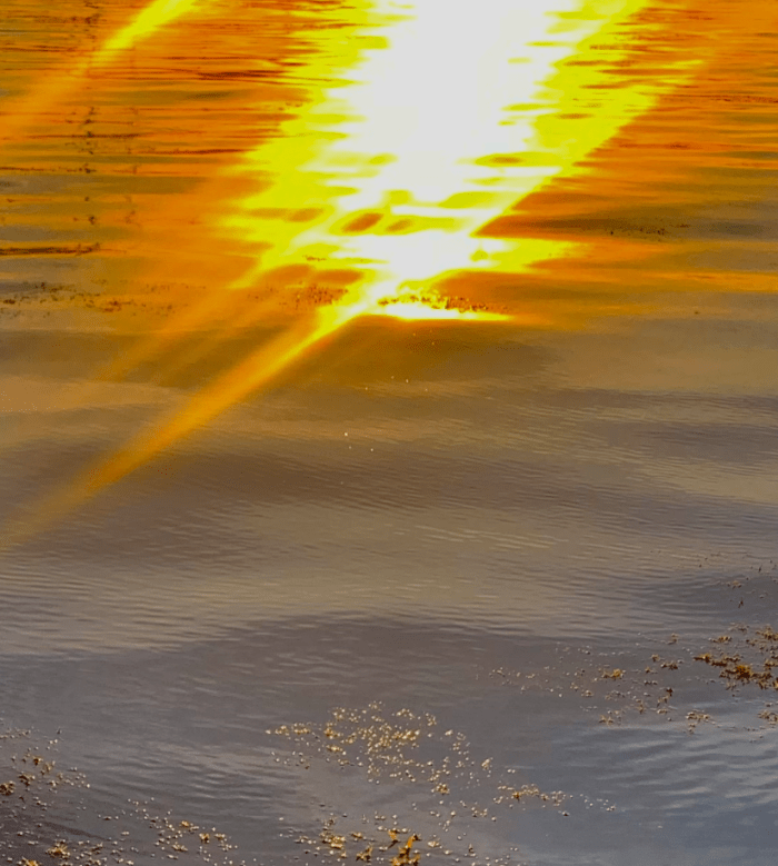 Saint-Barthélemy pendant la guerre de Neuf&nbsp;Ans,