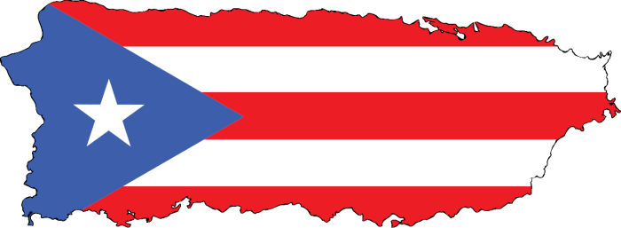 Le rêve de Samaná d’Elisabeth Borniche – Los primos&nbsp;puertorriqueños